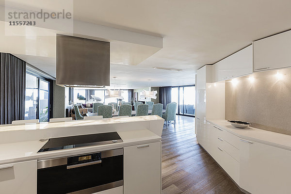 Modernes Luxus-Wohnhaus Showcase Innenraum Küche