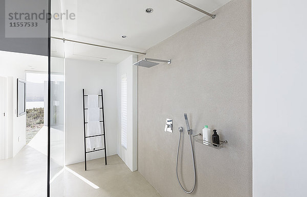 Modernes minimalistisches luxuriöses Haus Schaufenster Interieur Badezimmer Dusche