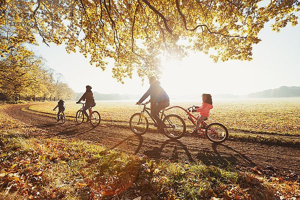 Junges Familienradfahren im sonnigen Herbstpark