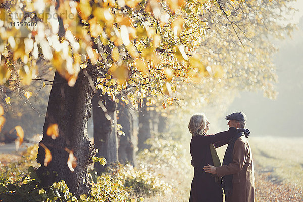 Liebespaar im sonnigen Herbstpark