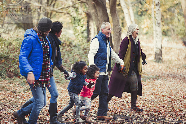Mehrgenerationen-Familie hält Händchen im Herbstpark