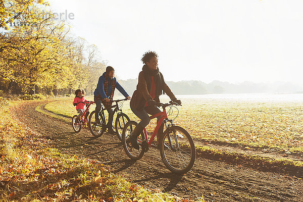 Verspieltes junges Familienradfahren auf dem Weg im sonnigen Herbstpark