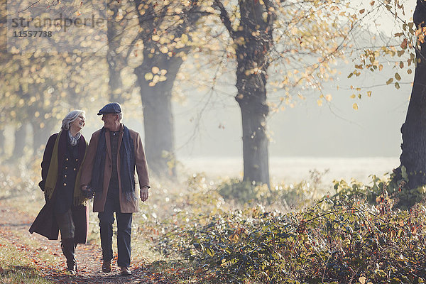 Seniorenpaar hält Händchen im sonnigen Herbstpark