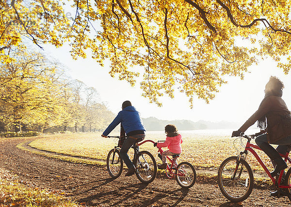 Junges Familienradfahren auf dem Weg in sonnigen Herbstwäldern