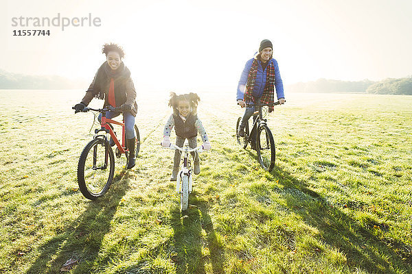 Portrait junges Familienradfahren im sonnigen Herbstparkgras