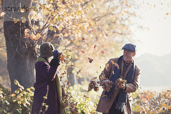 Verspieltes Seniorenpaar beim Herbstlaubwerfen im sonnigen Park