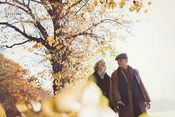 Zärtliches Seniorenpaar hält sich an den Händen und geht im sonnigen Herbstpark spazieren.