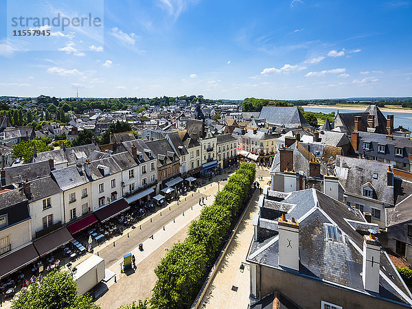 Frankreich  Amboise  Blick von oben auf die Altstadt