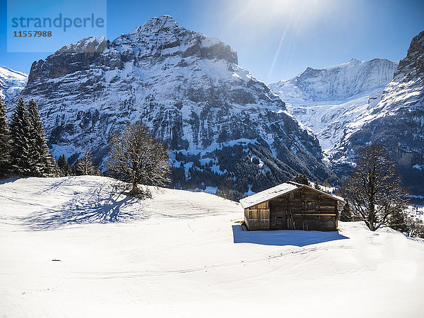 Schweiz  Kanton Bern  Grindelwald  Winterlandschaft mit Skihütte und Mittelhorn