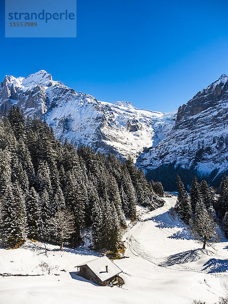 Schweiz  Kanton Bern  Grindelwald  Winterlandschaft mit Skihütte  Mittelhorn und Wetterhorn
