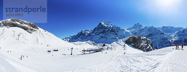 Schweiz  Kanton Bern  Grindelwald  Blick von First auf Schreckhorn und Wetterhorn und Skipiste
