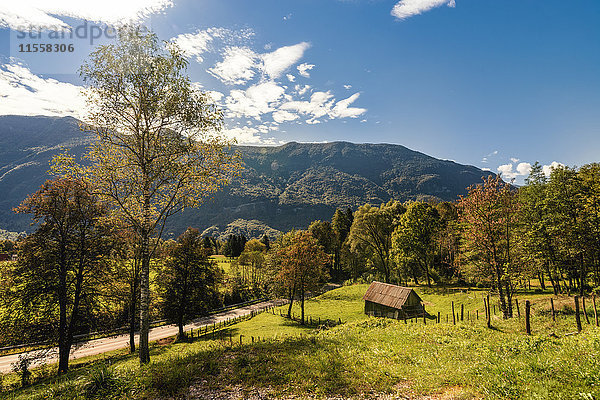 Slowenien  Bovec  Triglav-Nationalpark  Kanin-Tal im Herbst