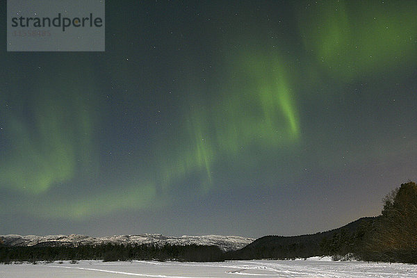 Norwegen  Nordlicht rund um Tromso