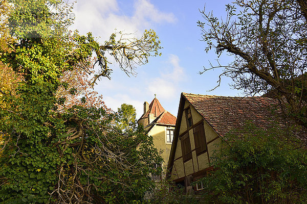 Deutschland  Rothenburg ob der Tauber  Haus und Bäume