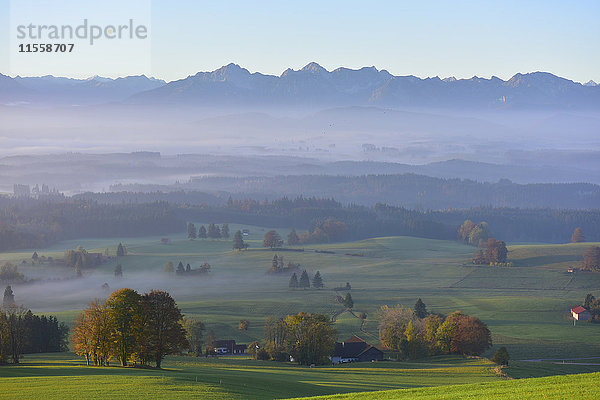 Deutschland  Allgäu  Herbstlandschaft im Morgennebel