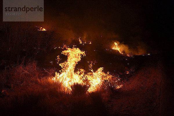 Madagaskar  Tsiroanomandidy  Buschfeuer bei Nacht