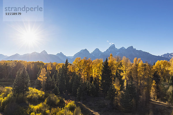 USA  Wyoming  Rocky Mountains  Grand Teton Nationalpark  Cathedral Group und Espen im Herbst