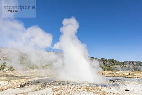 USA  Yellowstone Nationalpark  Keksbecken  Jewel Geysir-Ausbruch