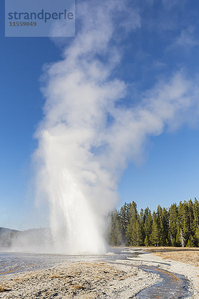 USA  Wyoming  Yellowstone Nationalpark  Daisy Geysir Ausbruch