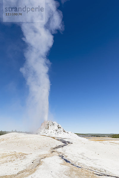 USA  Wyoming  Yellowstone National Park  Lower Geyser Basin  Firehole Lake Drive  White Dome Geyser