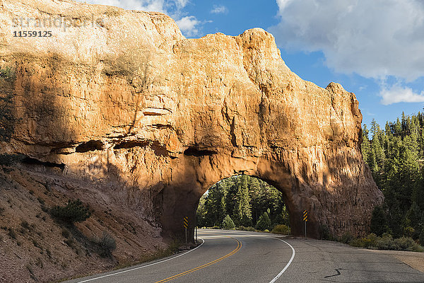 USA  Utah  Garfield  Dixie National Forest  Red Canyon  Felsbogen am Utah-Highway 12