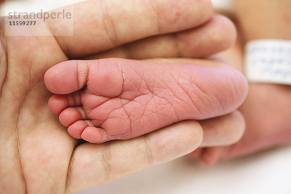 Hand mit einem neugeborenen Babyfuß