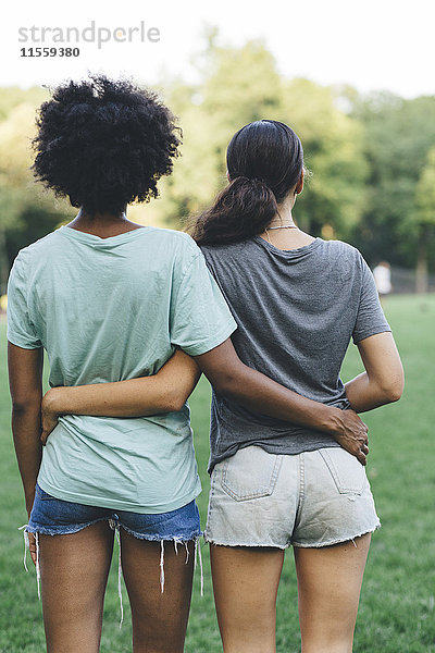 Rückansicht von zwei Frauen  die Arm in Arm in Arm in einem Park stehen.