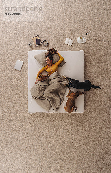 Frau mit ihren Hunden im Bett liegend  schlafend