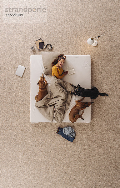 Frau liegt mit ihren Hunden im Bett und liest ein Buch.