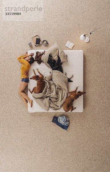 Frau schläft mit ihren Hunden im Bett  auf dem Rand liegend