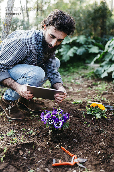 Mann fotografiert mit einer im Garten gepflanzten Blumentablette