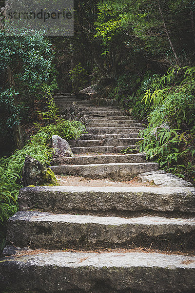 Japan  Miyajima  Treppe beim Aufstieg zum Berg Misen