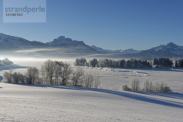 Deutschland  Bayern  Illasberg und Forggensee im Winter