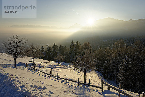 Deutschland  Bayern  Sonnenaufgang bei Kogl am Auerberg im Winter