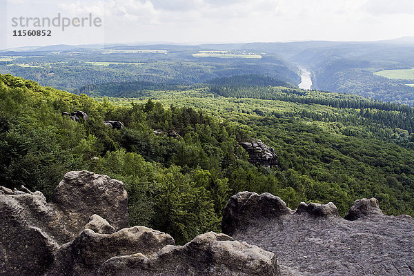 Deutschland  Sachsen  Nationalpark Sächsische Schweiz  Blick auf die Elbe