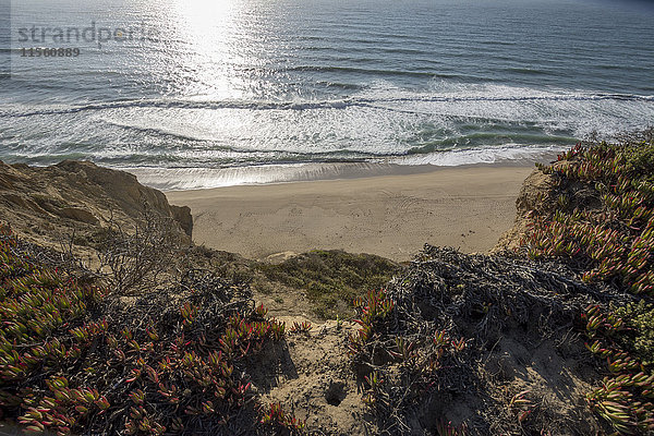 USA  Kalifornien  Blick auf Strand und Meer von der Klippe aus