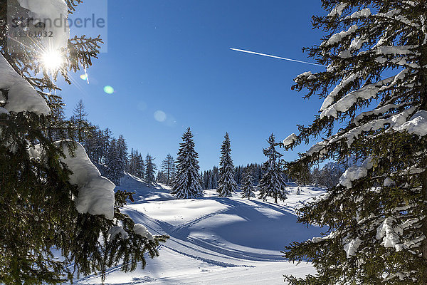 Österreich  St. Johann im Pongau  verschneite Winterlandschaft