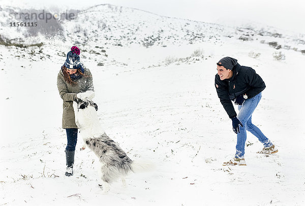 Junges Paar spielt mit seinem Hund im Schnee