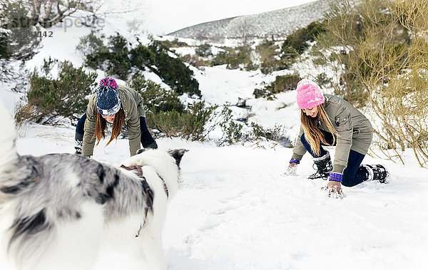 Zwei Freunde spielen mit ihrem Hund im Schnee.