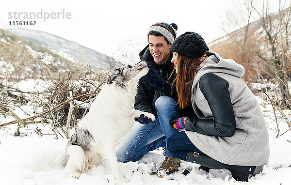 Junges Paar  das sich mit seinem Hund im Schnee amüsiert