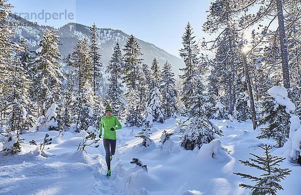 Deutschland  Bayern  Isartal  Vorderriss  Frauenjogging im Winterwald