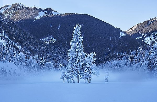 Österreich  Tirol  Karwendel  Russtal im Winter