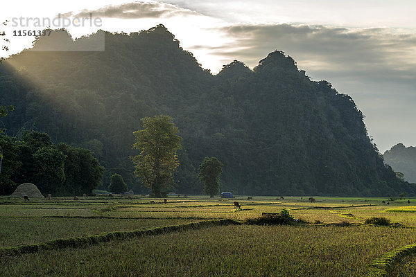 Myanmar  Hpa-an  Karstlandschaft und Felder