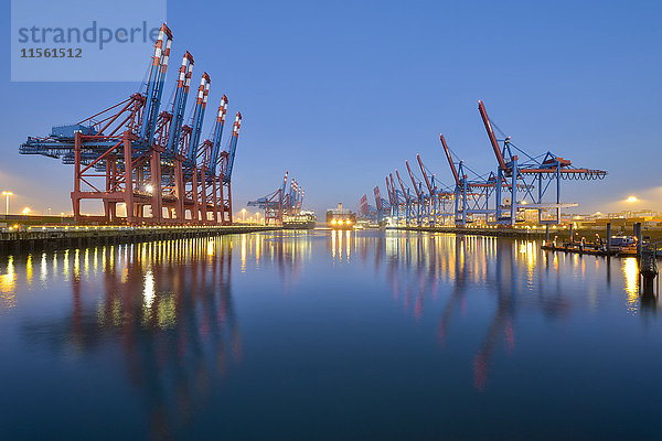 Deutschland  Hamburg  Hamburger Hafen  Containerterminal am Morgen