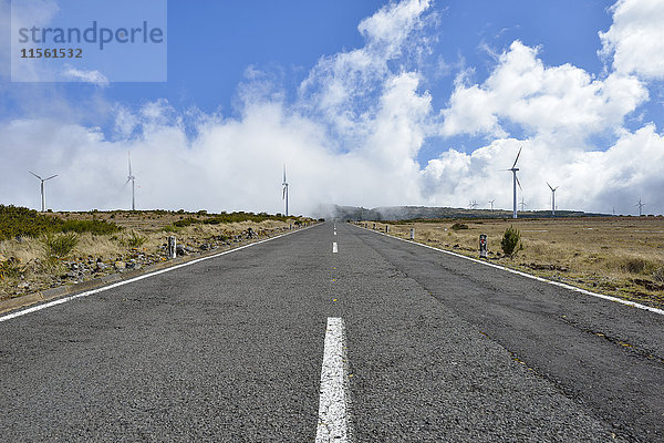 Portugal  Madeira  Straße auf dem zentralen Hochplateau Paul da Serra