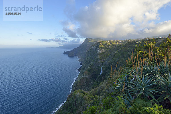 Portugal  Madeira  Klippen bei Santana  Nordküste