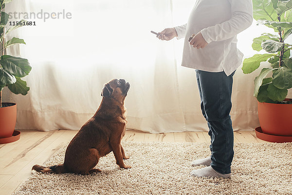 Kleines Mädchen trainiert ihren Hund  um zu Hause zu sitzen.