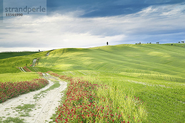 Italien  hügelige Landschaft