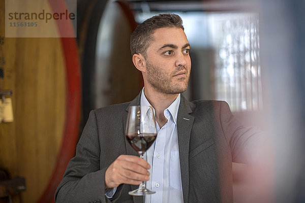 Junger Mann bei der Rotweinprobe im Weingut