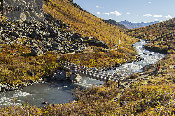 Wanderer auf der Brücke über den Savage River im Herbst  Denali-Nationalpark  Inner-Alaska  USA